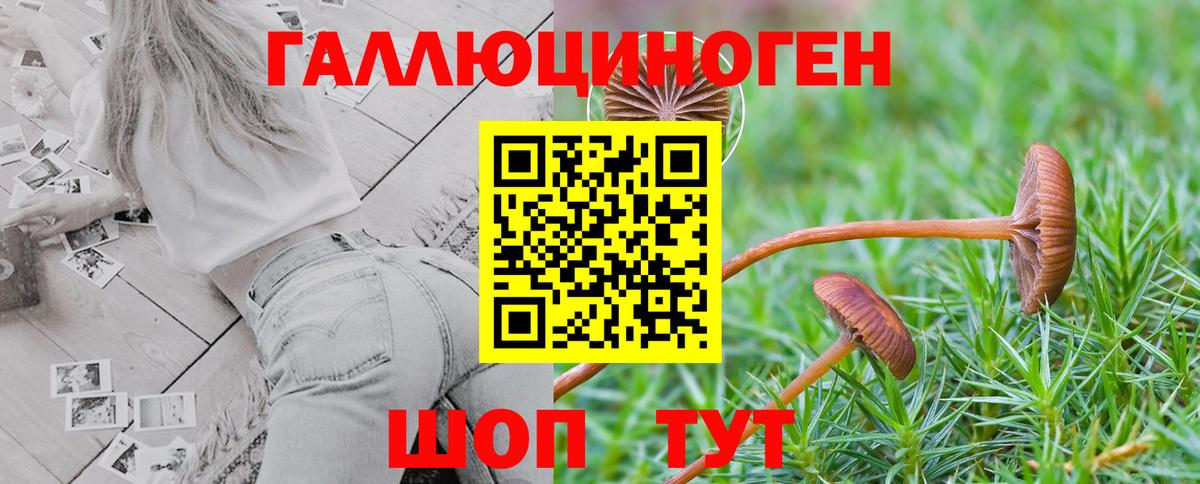 Кузнецк  Псилоцибиновые грибы Psilocybe  Вход с VPN 
