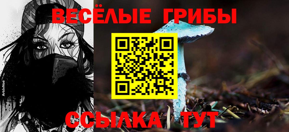 Галлюциногенные грибы ЛСД Кузнецк